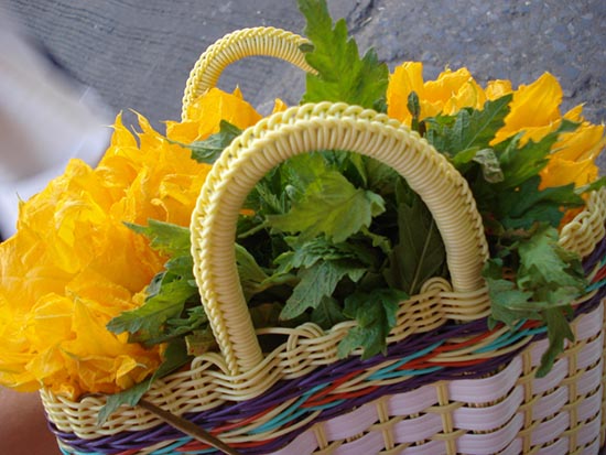 cultivar en casa flores de calabaza