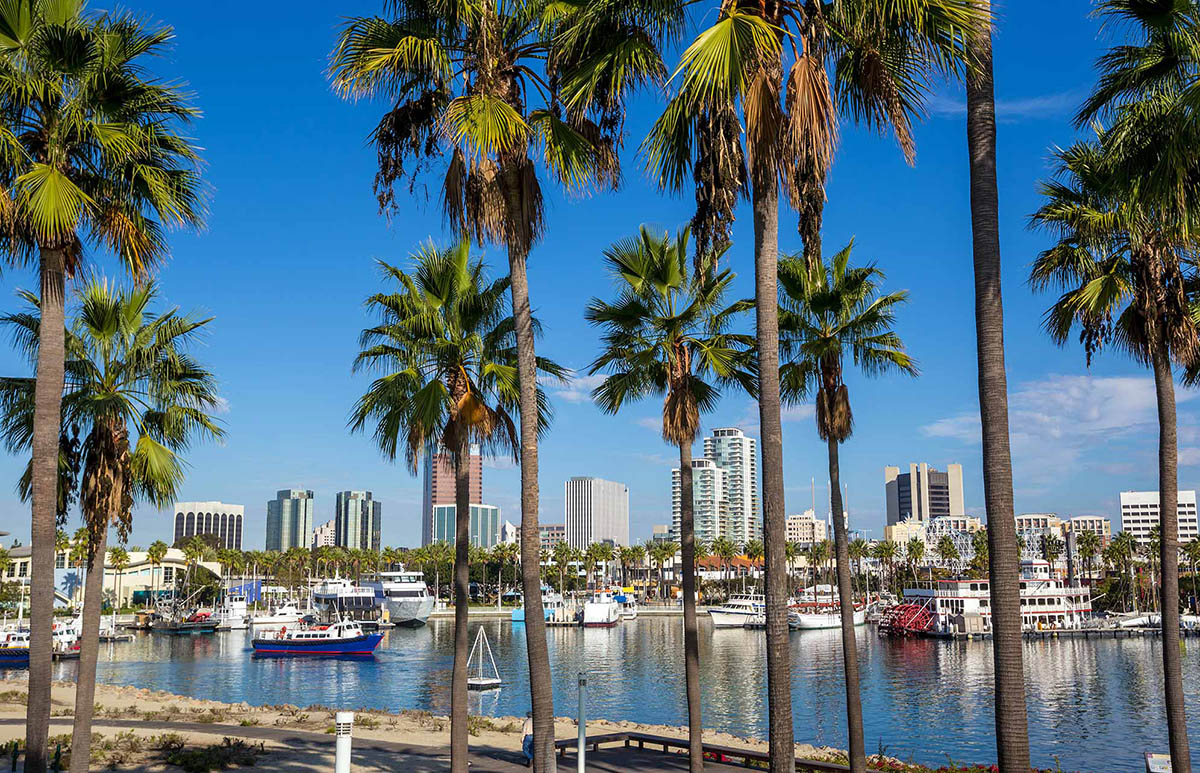 Videntes buenas y baratas en Long Beach, California