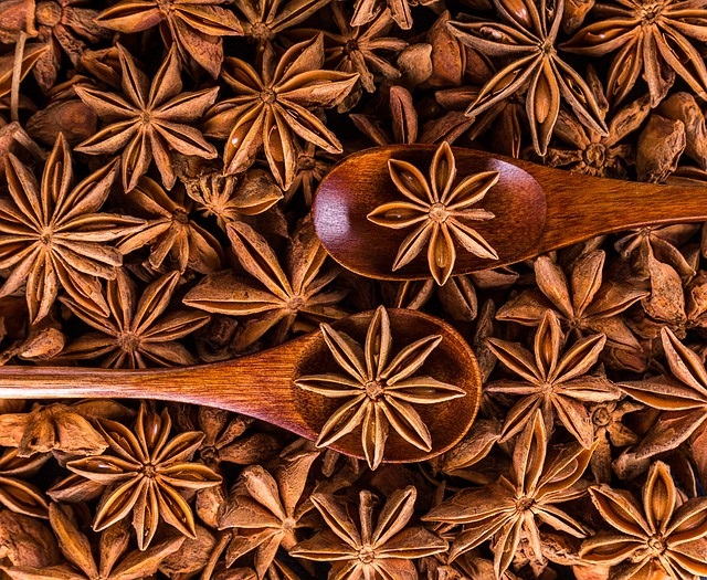 Anís estrellado: estrella aromática y amuleto